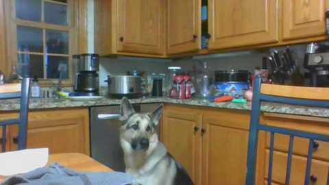 rosegold18 @ chaturbate on 20240118