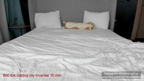 carolinaherera @ chaturbate on 20240121