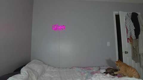 sunshinedarling1 @ chaturbate on 20240121