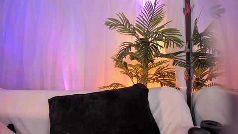 nebamazee @ chaturbate on 20240122
