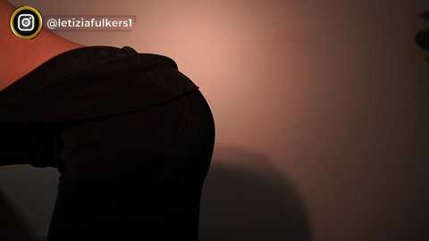 letiziafulkers1 @ chaturbate on 20240123