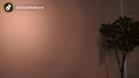 letiziafulkers1 @ chaturbate on 20240123