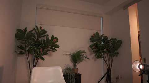 letiziafulkers1 @ chaturbate on 20240125