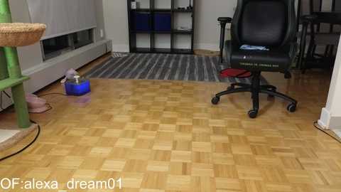 alexa_dream @ chaturbate on 20240126