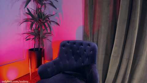 audrey_ @ chaturbate on 20240127