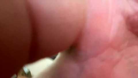 apollobest77 @ chaturbate on 20240128