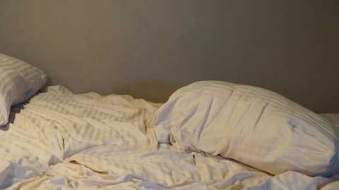 _meganmeow_ @ chaturbate on 20240131