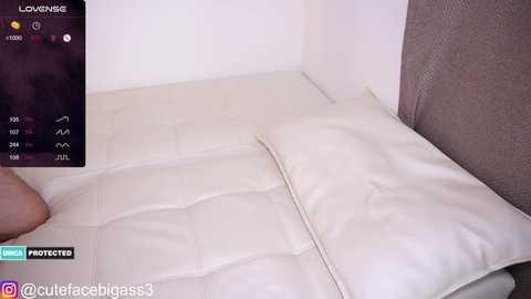 cutefacebigass @ chaturbate on 20240131