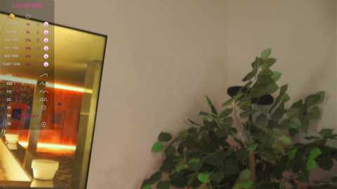 oki_dokie @ chaturbate on 20240131