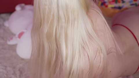 bunnydollstella @ chaturbate on 20240201