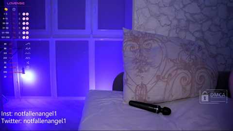 notfallenangel @ chaturbate on 20240201