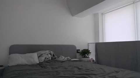 college_girl_ @ chaturbate on 20240202