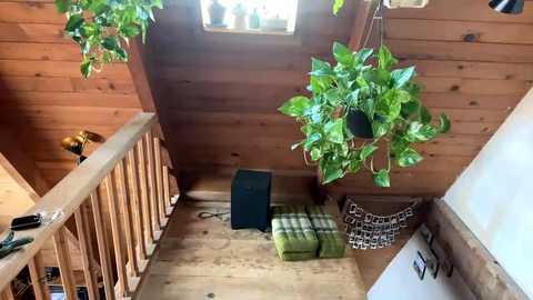 emersoncane @ chaturbate on 20240202