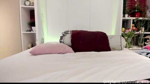 mis_eva @ chaturbate on 20240202