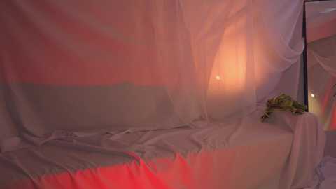 sunny_maria @ chaturbate on 20240202