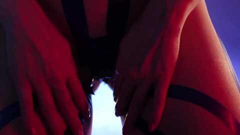 _meganmeow_ @ chaturbate on 20240203