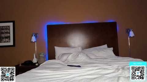 ari_lovexo @ chaturbate on 20240203