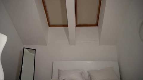 aria_diaz @ chaturbate on 20240203