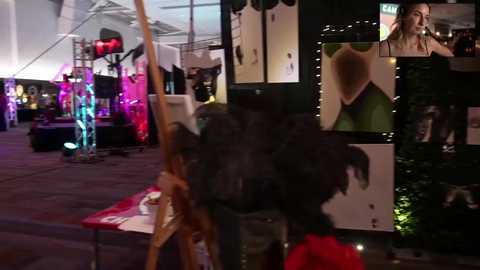 blondefoxsilverfox @ chaturbate on 20240203