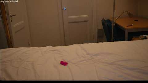 ellaa91 @ chaturbate on 20240204