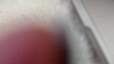 kristenflame @ chaturbate on 20240206