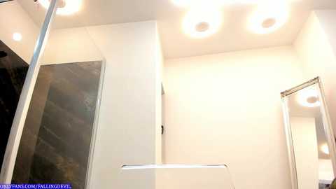 hotfallingdevil @ chaturbate on 20240208