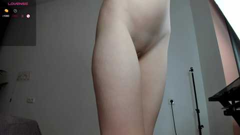 immature_eva_