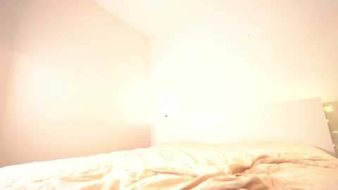 reei__ @ chaturbate on 20240208