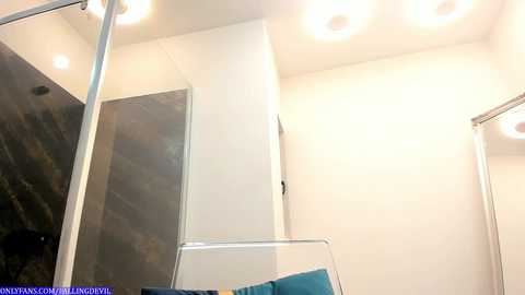 hotfallingdevil @ chaturbate on 20240209