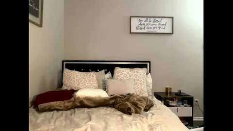jadejamessecret @ chaturbate on 20240209