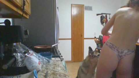 rosegold18 @ chaturbate on 20240209