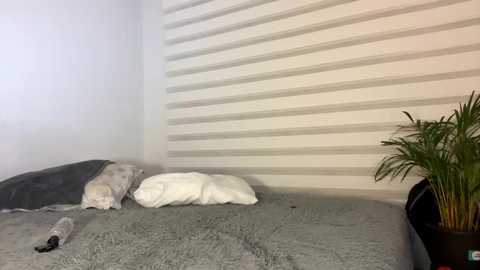 sexland_22 @ chaturbate on 20240209