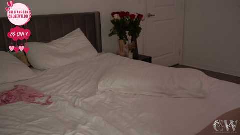 chloewildd @ chaturbate on 20240210