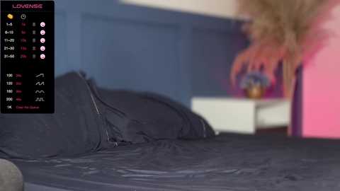 forbidden_affair @ chaturbate on 20240210