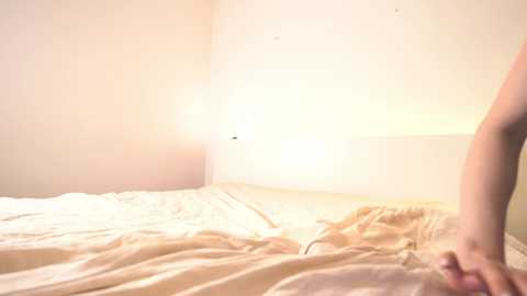 reei__ @ chaturbate on 20240210