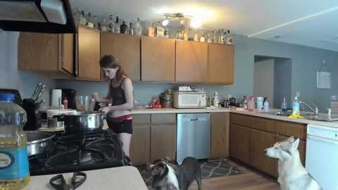 lenity_life @ chaturbate on 20240211