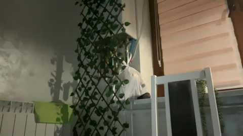 patry333 @ chaturbate on 20240212