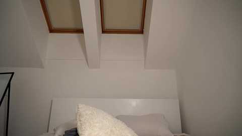 aria_diaz @ chaturbate on 20240213