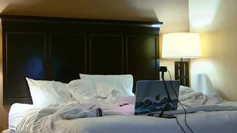 dummyforthamoney @ chaturbate on 20240213