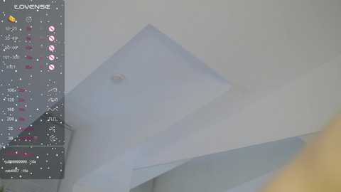 floret_joy @ chaturbate on 20240213