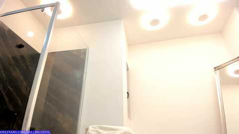 hotfallingdevil @ chaturbate on 20240213