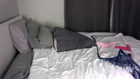 gracieparker @ chaturbate on 20240215