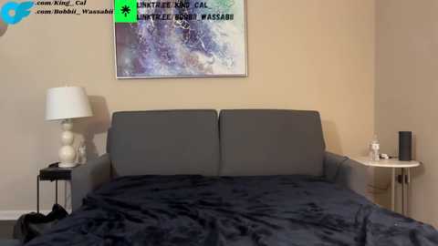 king_cal_ @ chaturbate on 20240216