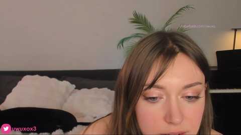 uwuxo @ chaturbate on 20240216