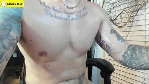 tattboy397