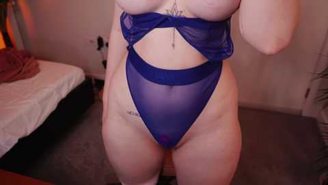 vixenp @ chaturbate on 20240221