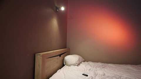 _meganmeow_ @ chaturbate on 20240222