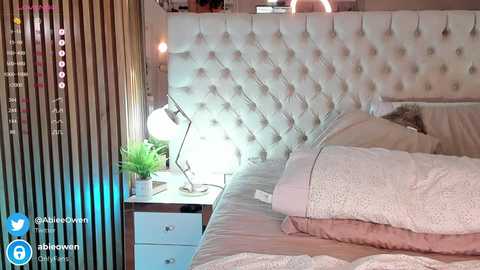 abie_owen @ chaturbate on 20240222