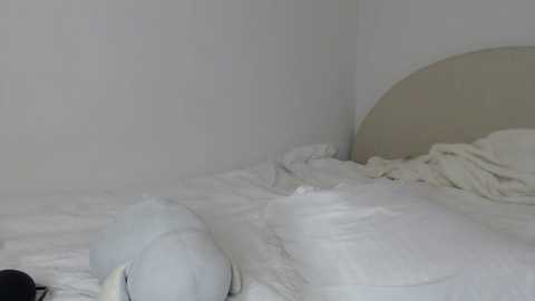 itschanelxx @ chaturbate on 20240222