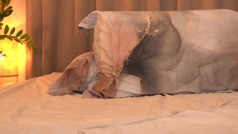 chaturbabe__ @ chaturbate on 20240223